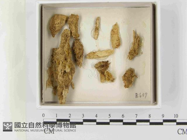 登錄號:F0021530藏品圖，第1張