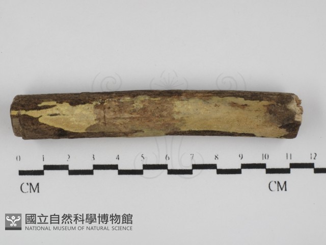 登錄號:F0031530藏品圖，第1張