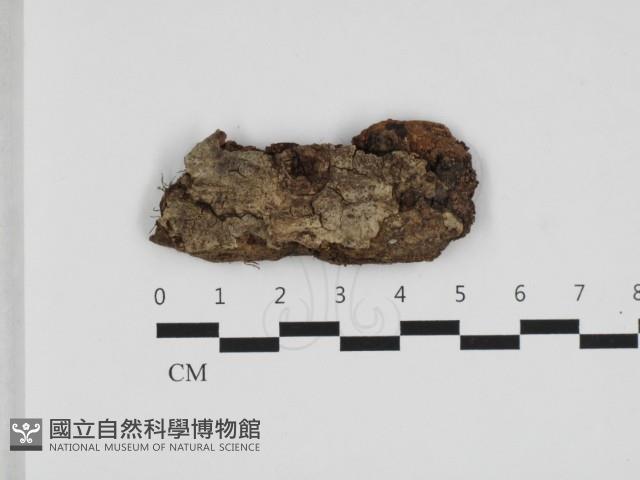 登錄號:F0032530藏品圖，第1張