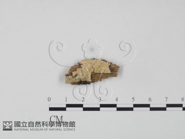 登錄號:F0009530藏品圖，第1張