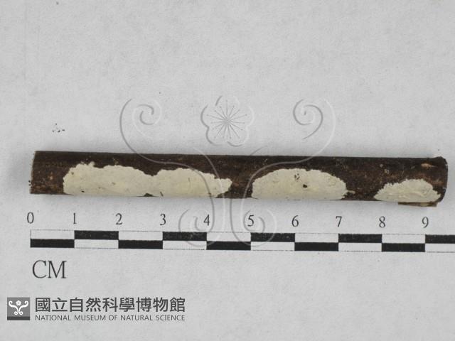 登錄號:F0028130藏品圖，第1張