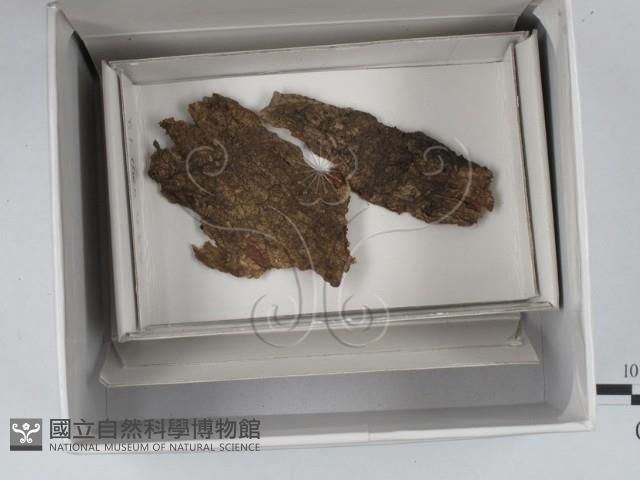 登錄號:F0018130藏品圖，第1張