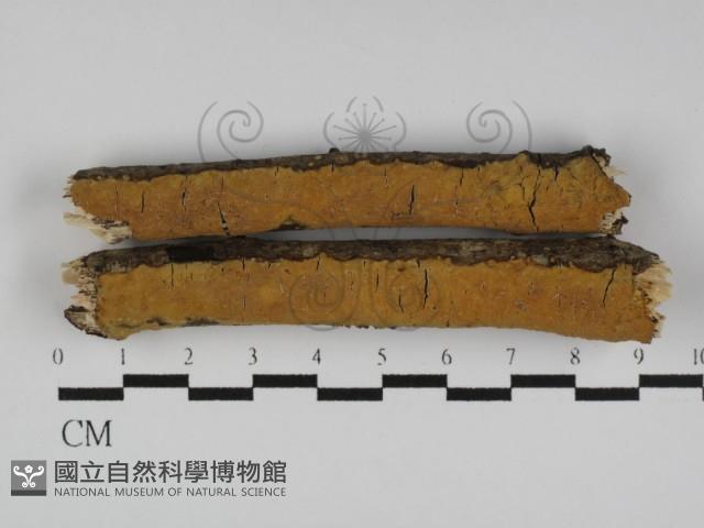 登錄號:F0031130藏品圖，第1張