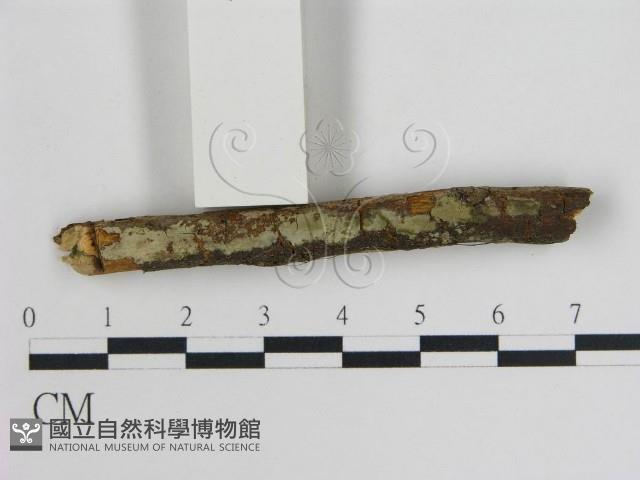 登錄號:F0004130藏品圖，第1張