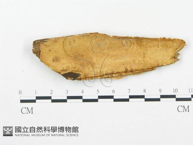登錄號:F0014130藏品圖，第1張