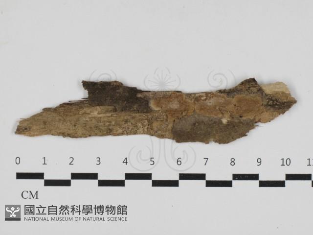 登錄號:F0033130藏品圖，第1張