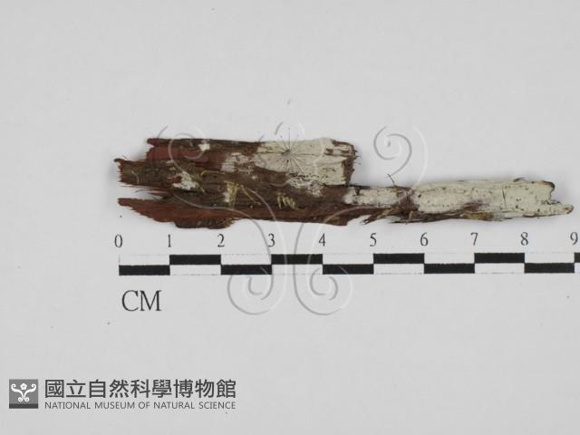 登錄號:F0028030藏品圖，第1張