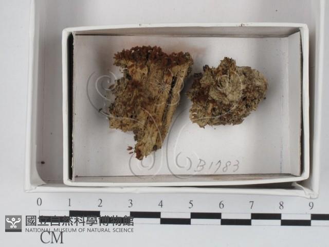 登錄號:F0018030藏品圖，第1張