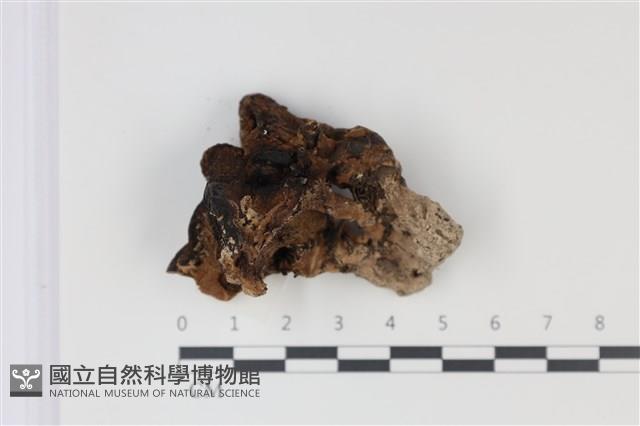 登錄號:F0035030藏品圖，第1張