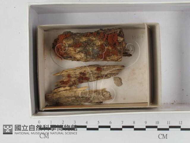 登錄號:F0018330藏品圖，第1張