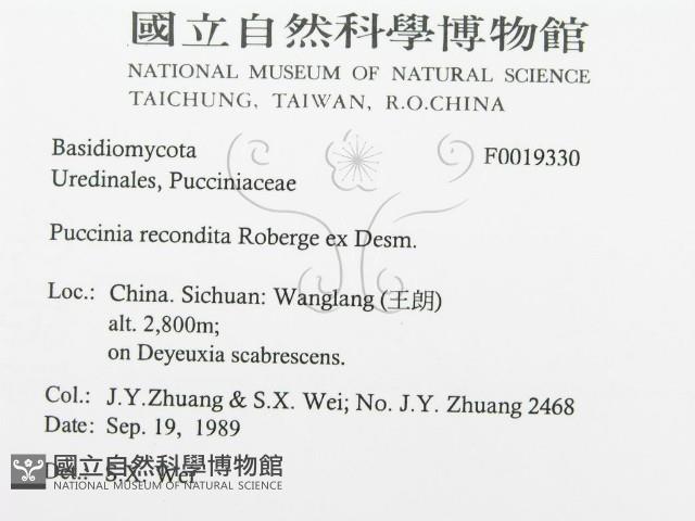 登錄號:F0019330藏品圖，第3張