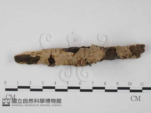 登錄號:F0008270藏品圖，第1張