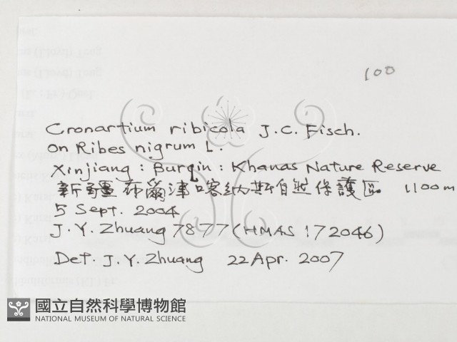 登錄號:F0026270藏品圖，第3張