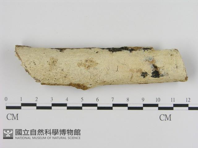 登錄號:F0004270藏品圖，第1張