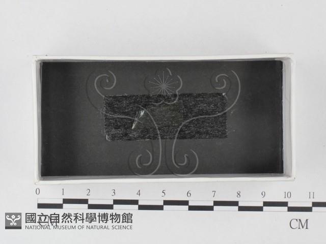 登錄號:F0023270藏品圖，第1張