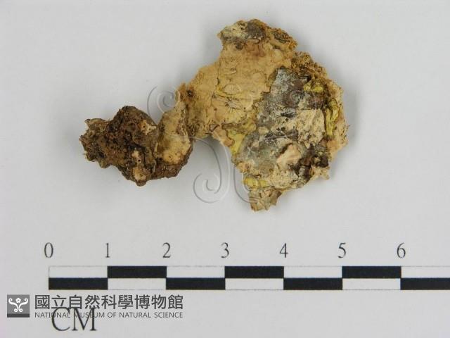 登錄號:F0010870藏品圖，第1張
