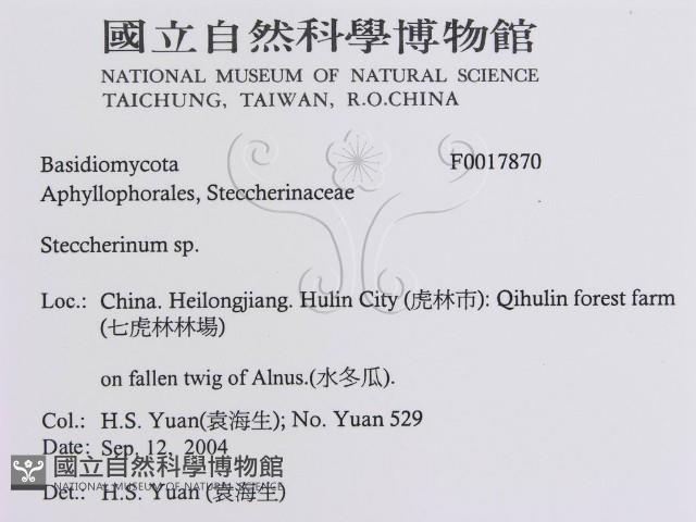 登錄號:F0017870藏品圖，第3張