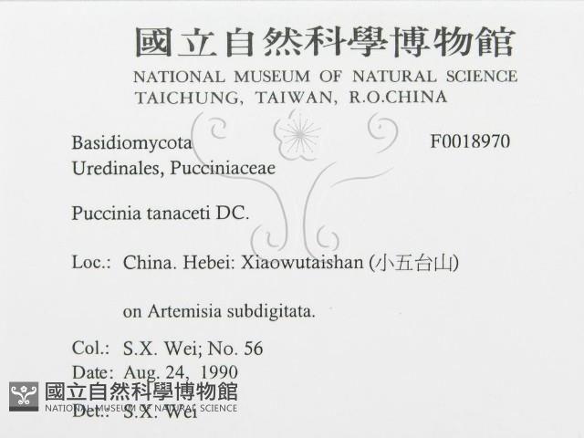 登錄號:F0018970藏品圖，第3張