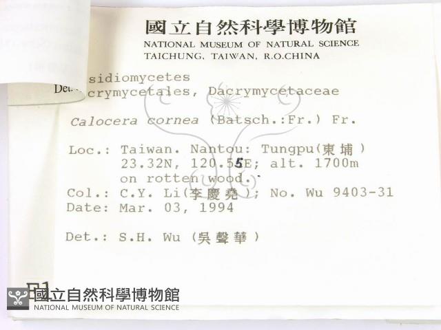 登錄號:F0001970藏品圖，第3張