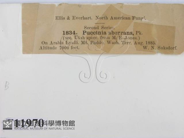 登錄號:F0011970藏品圖，第3張