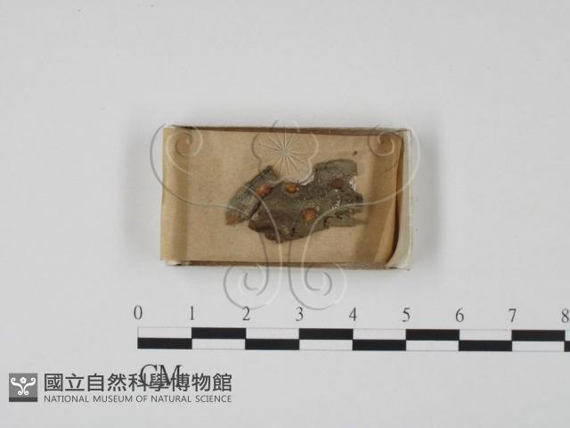 登錄號:F0009970藏品圖，第1張