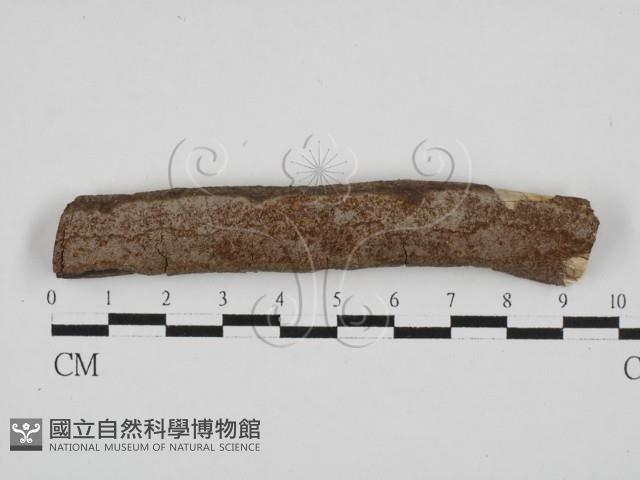 登錄號:F0028670藏品圖，第1張