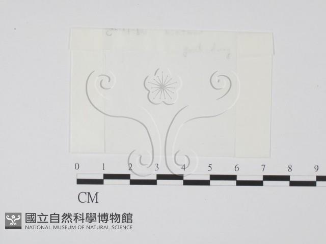館號:F0000670藏品圖，第1張