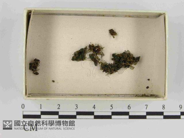 登錄號:F0021470藏品圖，第1張