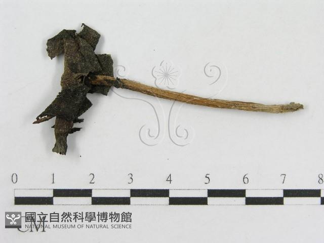 登錄號:F0007470藏品圖，第1張