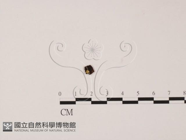 登錄號:F0020770藏品圖，第1張