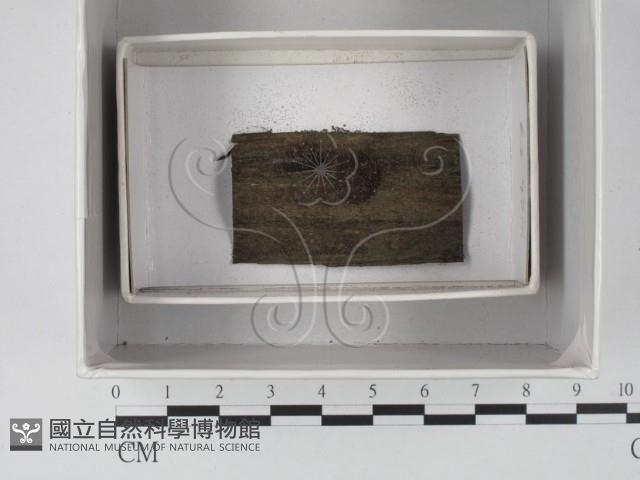 登錄號:F0018570藏品圖，第1張
