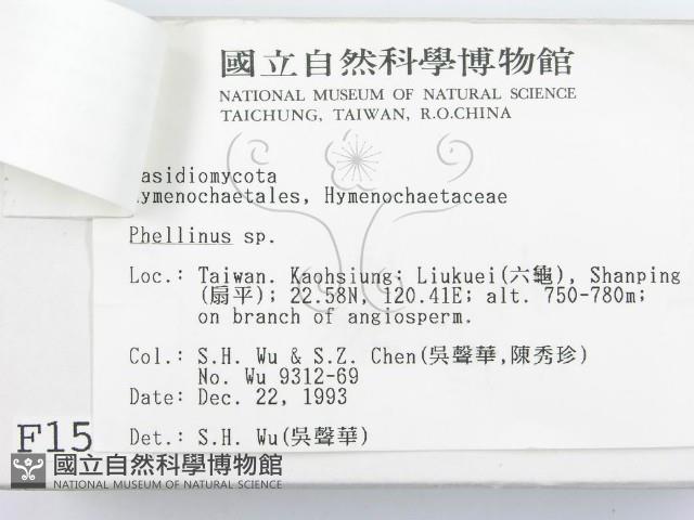 登錄號:F0001570藏品圖，第3張