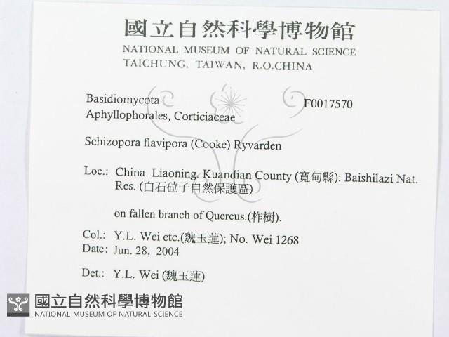 登錄號:F0017570藏品圖，第3張