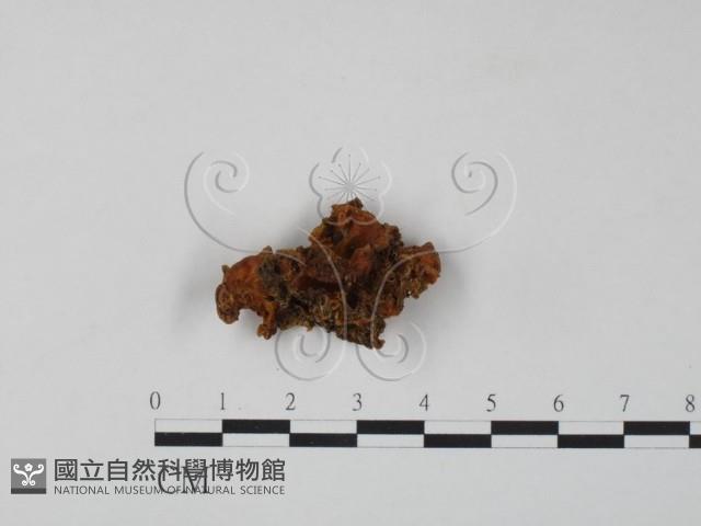 登錄號:F0008170藏品圖，第1張