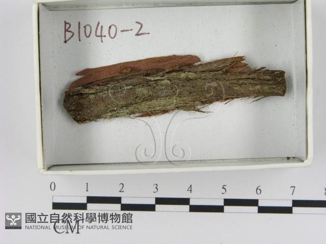 登錄號:F0021170藏品圖，第1張