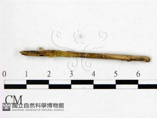 登錄號:F0001170藏品圖，第1張