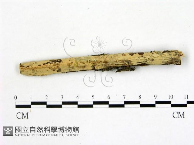 登錄號:F0022170藏品圖，第1張