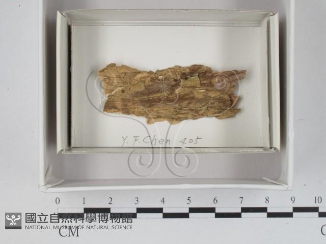 登錄號:F0018070藏品圖，第1張