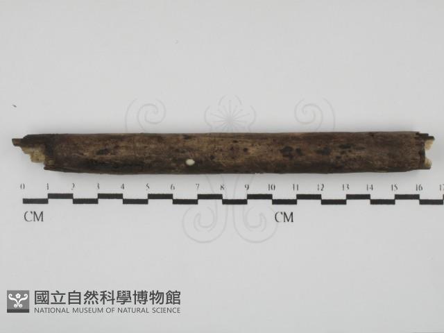 登錄號:F0030070藏品圖，第1張