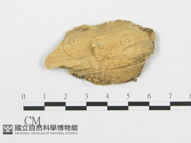 登錄號:F0007070藏品圖，第1張