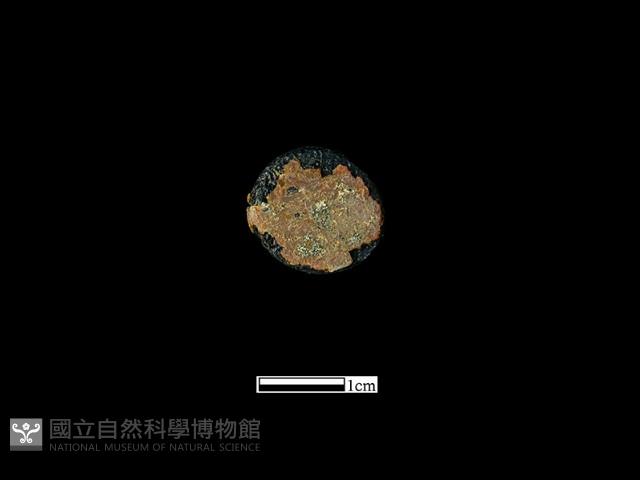 圍棋子藏品圖，第1張