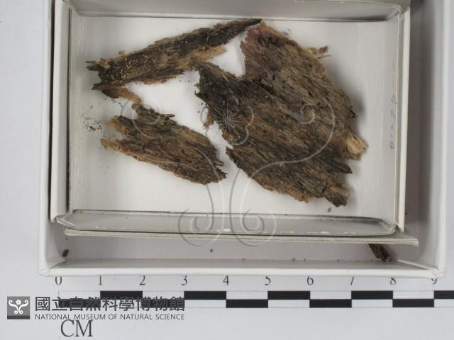 登錄號:F0018370藏品圖，第1張