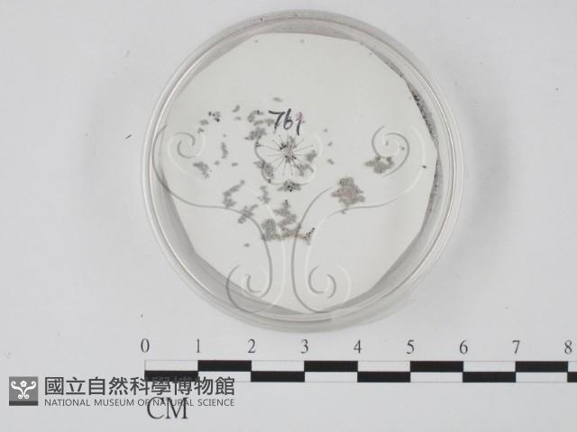 登錄號:F0010370藏品圖，第1張