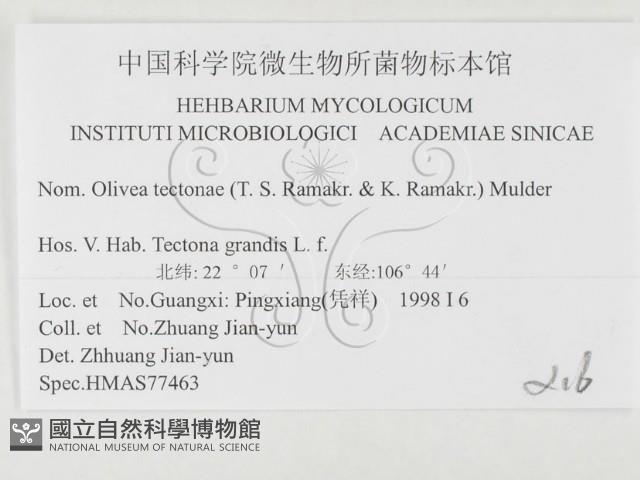登錄號:F0026370藏品圖，第3張