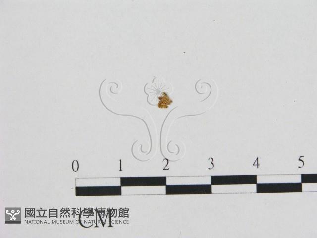登錄號:F0002370藏品圖，第1張
