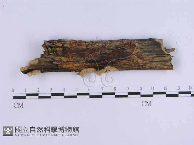 登錄號:F0008266藏品圖，第1張