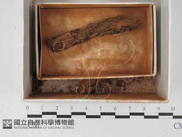 登錄號:F0018266藏品圖，第1張