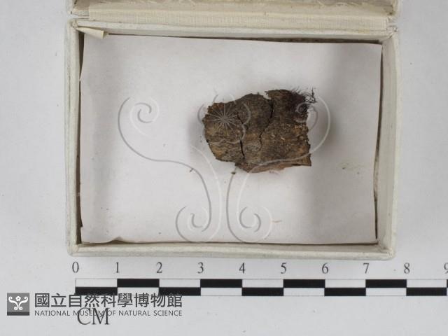 登錄號:F0023266藏品圖，第1張