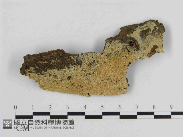 登錄號:F0014866藏品圖，第1張