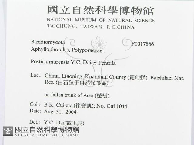 登錄號:F0017866藏品圖，第3張